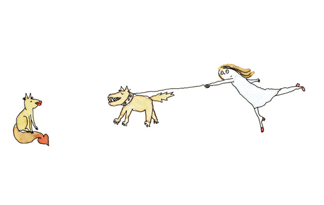 Illustration: Cat and dog